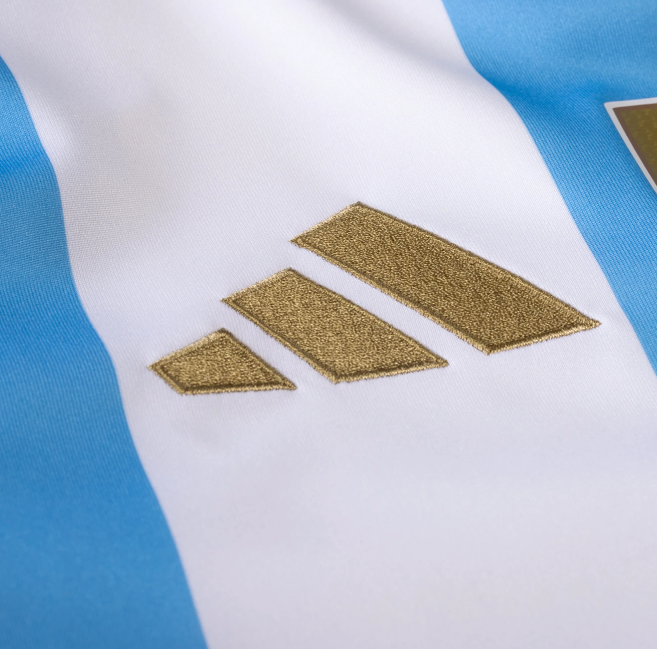 Custom Name Argentina Home 24/25 Jersey - Image 3